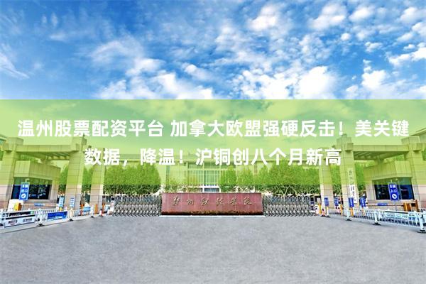 温州股票配资平台 加拿大欧盟强硬反击！美关键数据，降温！沪铜创八个月新高