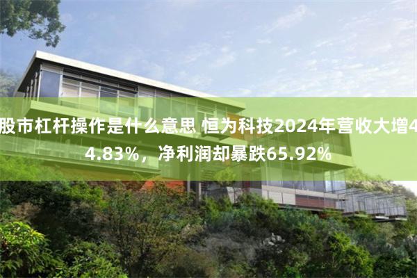 股市杠杆操作是什么意思 恒为科技2024年营收大增44.83%，净利润却暴跌65.92%