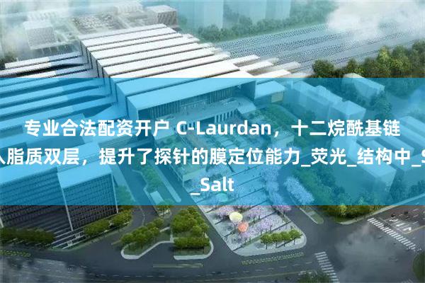 专业合法配资开户 C-Laurdan，十二烷酰基链嵌入脂质双层，提升了探针的膜定位能力_荧光_结构中_Salt
