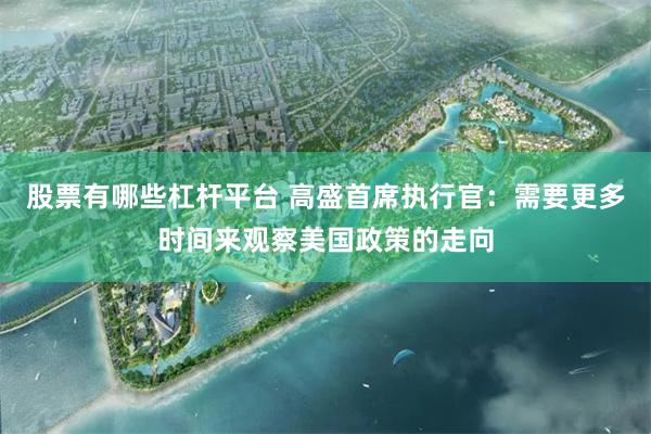 股票有哪些杠杆平台 高盛首席执行官：需要更多时间来观察美国政策的走向