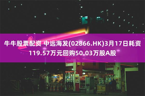 牛牛股票配资 中远海发(02866.HK)3月17日耗资119.57万元回购50.03万股A股