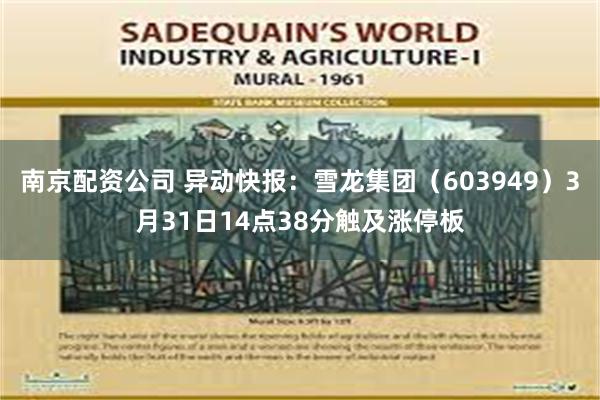南京配资公司 异动快报：雪龙集团（603949）3月31日14点38分触及涨停板