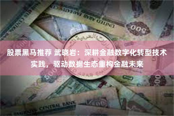 股票黑马推荐 武晓岩：深耕金融数字化转型技术实践，驱动数据生态重构金融未来