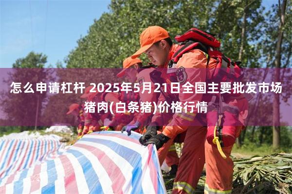 怎么申请杠杆 2025年5月21日全国主要批发市场猪肉(白条猪)价格行情