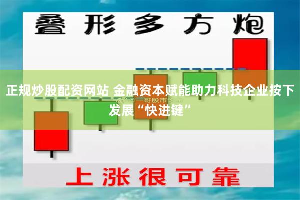 正规炒股配资网站 金融资本赋能助力科技企业按下发展“快进键”
