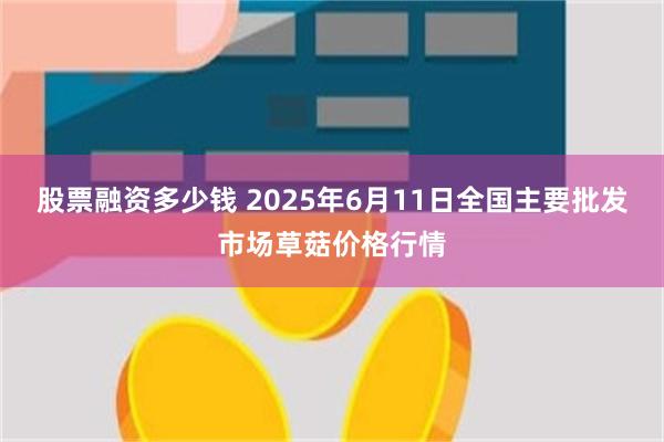 股票融资多少钱 2025年6月11日全国主要批发市场草菇价格行情
