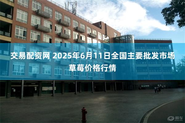 交易配资网 2025年6月11日全国主要批发市场草莓价格行情