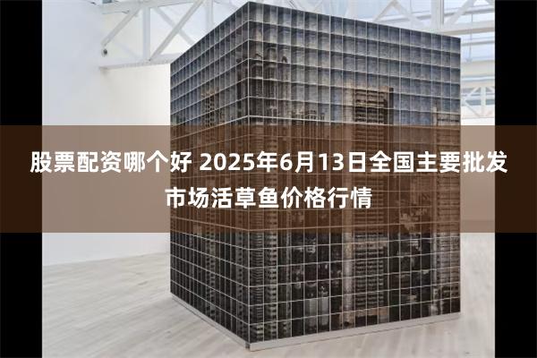 股票配资哪个好 2025年6月13日全国主要批发市场活草鱼价格行情