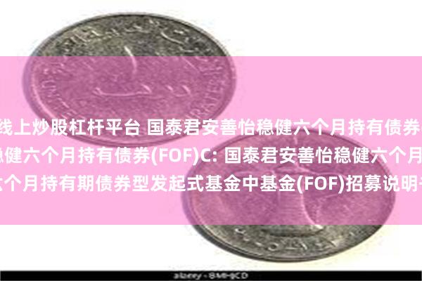 线上炒股杠杆平台 国泰君安善怡稳健六个月持有债券(FOF)A,国泰君安善怡稳健六个月持有债券(FOF)C: 国泰君安善怡稳健六个月持有期债券型发起式基金中基金(FOF)招募说明书(更新)(2025年第1号)