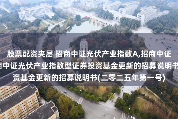 股票配资夹层 招商中证光伏产业指数A,招商中证光伏产业指数C: 招商中证光伏产业指数型证券投资基金更新的招募说明书(二零二五年第一号)