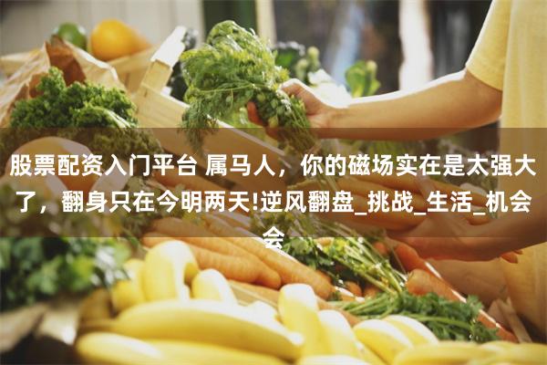股票配资入门平台 属马人，你的磁场实在是太强大了，翻身只在今明两天!逆风翻盘_挑战_生活_机会
