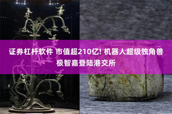 证券杠杆软件 市值超210亿! 机器人超级独角兽极智嘉登陆港交所