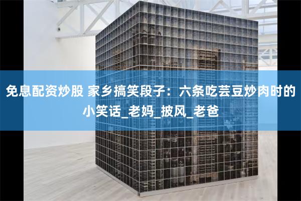 免息配资炒股 家乡搞笑段子：六条吃芸豆炒肉时的小笑话_老妈_披风_老爸