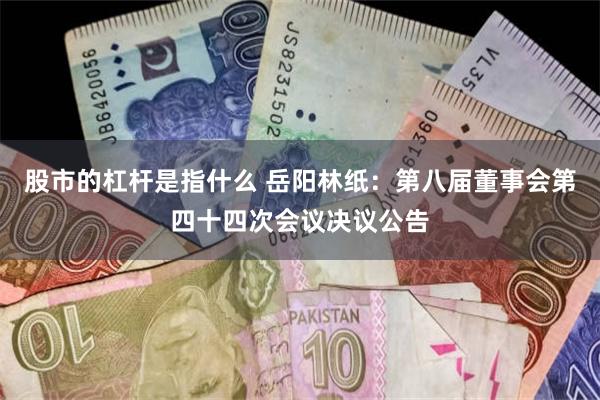 股市的杠杆是指什么 岳阳林纸：第八届董事会第四十四次会议决议公告